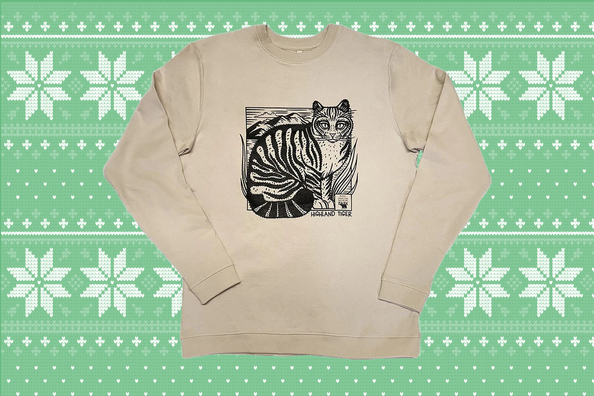 Wildcat jumper with background IMAGE: Gillian Roberts 2024